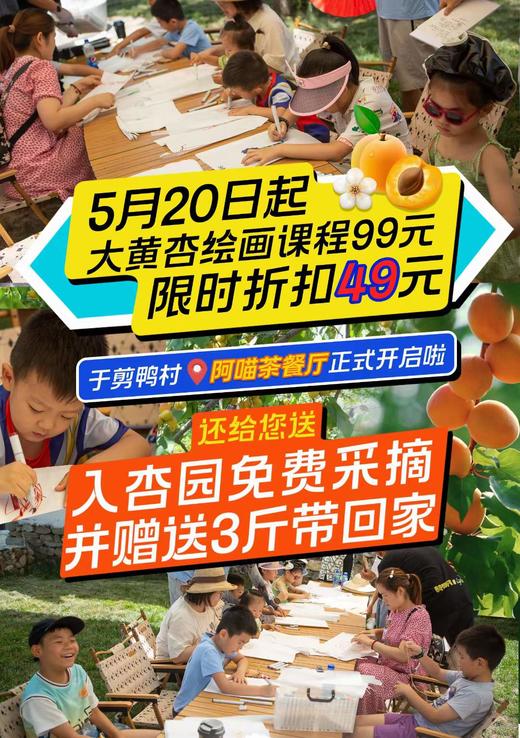 大黄杏采摘 商品图0