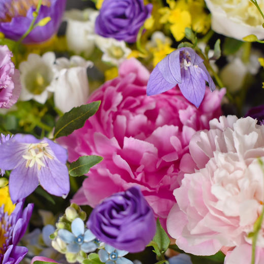 《莫奈的花园》高级亚克力透视花盒规格：30×30 商品图5