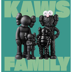 考斯家族 艺术画集 街头艺术 英文原版 KAWS: FAMILY