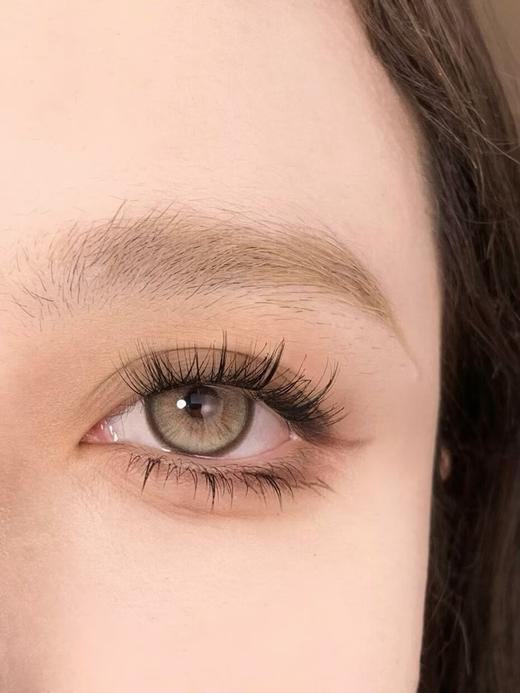 Bollycon日抛新品-SSR Brown 垫底辣妹 商品图2