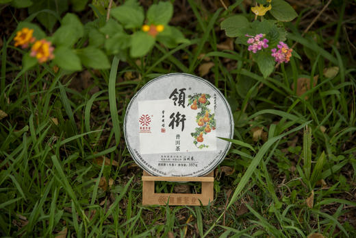 葳盛茶业2024年福禄连绵易武桃子寨古树领衔普洱茶生茶357克 商品图4