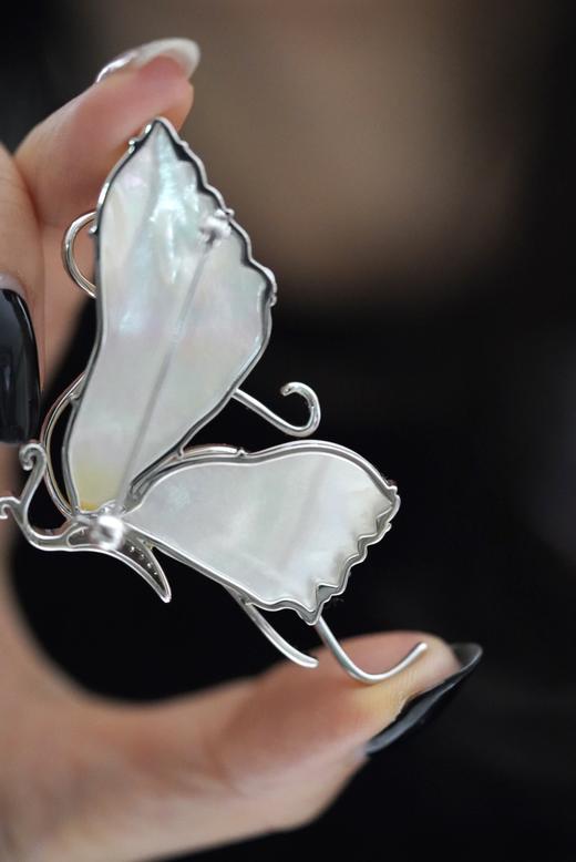 白贝母蝴蝶胸花 商品图1