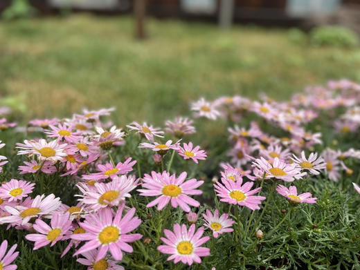 内部产品（勿拍） 商品图0