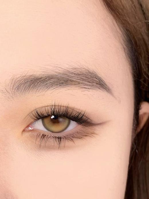 Bollycon日抛新品-Double Brown 橘星高照 商品图7