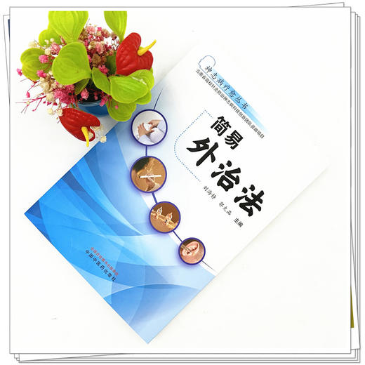 简易外治法 刘海静 郭太品 主编 中国中医药出版社 神志病疗愈丛书 商品图2