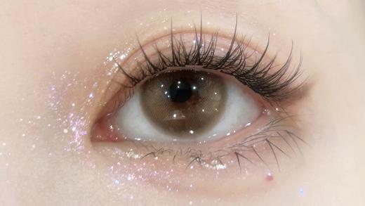 Bollycon日抛新品-Vita Brown 淡颜浅棕 商品图6