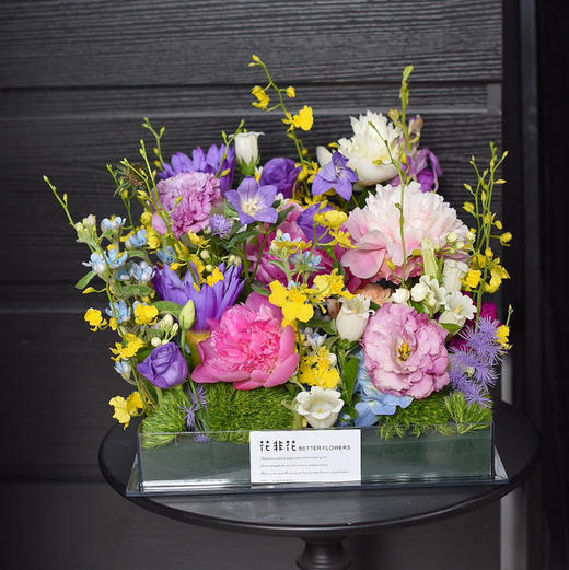 《莫奈的花园》高级亚克力透视花盒规格：30×30 商品图7