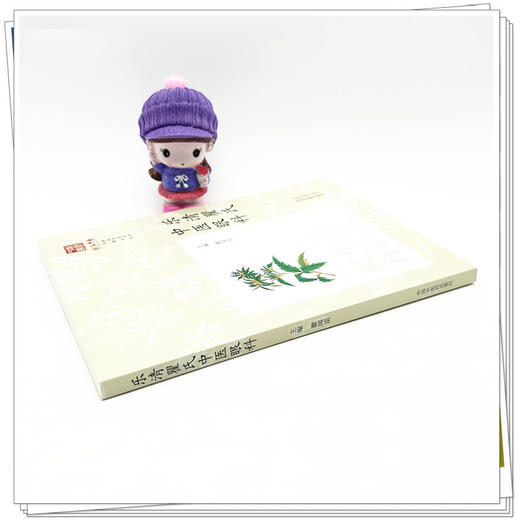 乐清瞿氏中医眼科 瞿闻雷 主编 中国中医药出版社 浙派中医丛书 商品图3