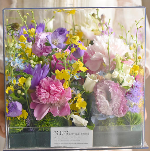 《莫奈的花园》高级亚克力透视花盒规格：30×30 商品图2