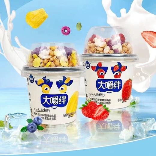 【BF】大嚼绊酸奶谷物组合酸奶饮品（菠萝蜜味）210g 商品图0