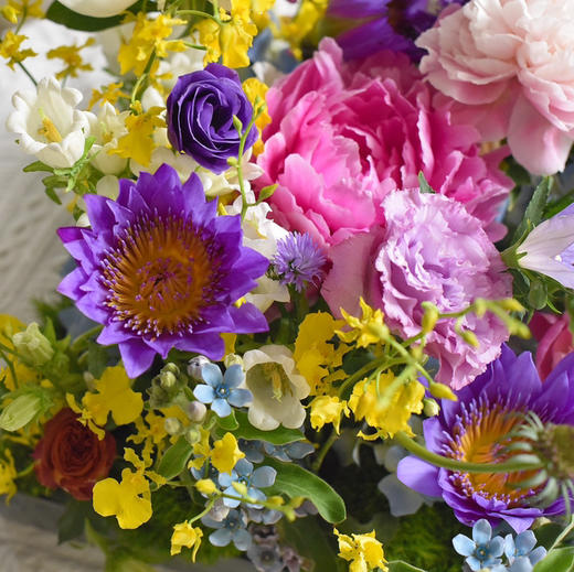 《莫奈的花园》高级亚克力透视花盒规格：30×30 商品图4