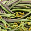 1kg清蕨菜【-7F】 商品缩略图1