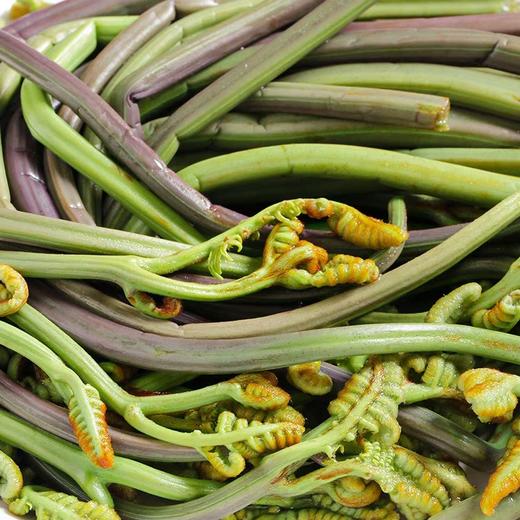 1kg清蕨菜【-7F】 商品图1