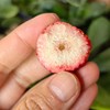 生态冻干草莓  | 只有草莓 整颗草莓 酸甜脆爽 | 合作生产 * Ecological freeze-dried strawberries 商品缩略图3