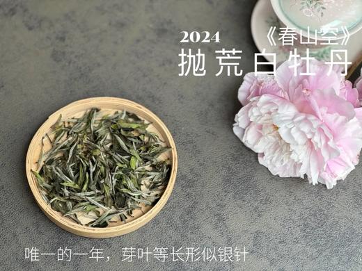 【2024春茶来了】2024抛荒白牡丹《春山空》，干茶长相酷似白毫银针，有史以来等级zui高的抛荒白牡丹 商品图1