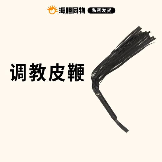 短款皮鞭 49cm 商品图0