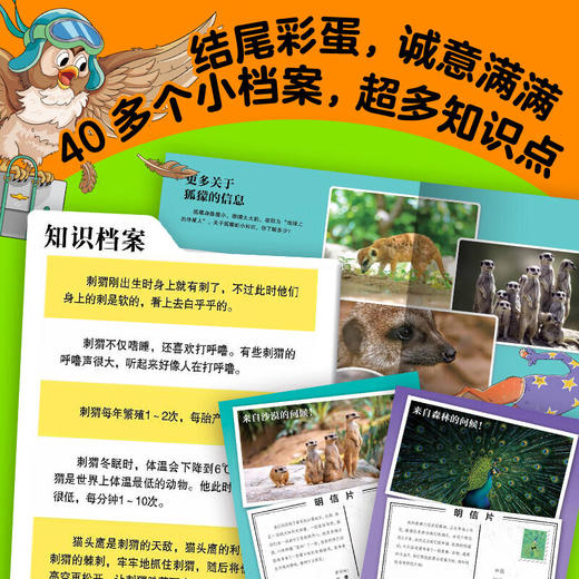 【点读版】动物妙想国（第3辑）：全8册 商品图4