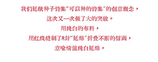 联邦走马新版种子诗集第三弹-请你种下这封情书先锋书店520合作款 商品图12
