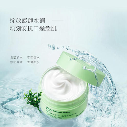 Bblaboratories 苾莱宝 胎盘素植物养护面膜 175g 商品图2