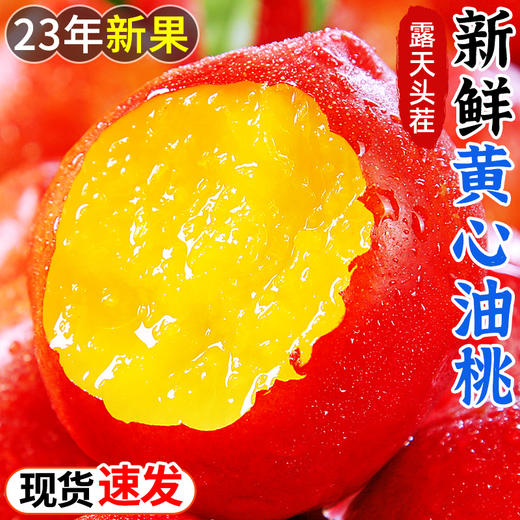 【超级好吃的黄心油桃！】肉甜多汁！桃香浓郁！红亮迷人！新鲜采摘树上自然熟！一口下去！爽脆利落！-YT01 商品图1