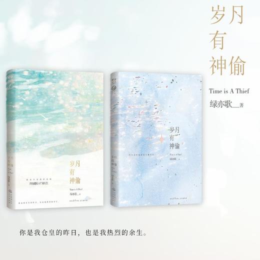 岁月有神偷 商品图2