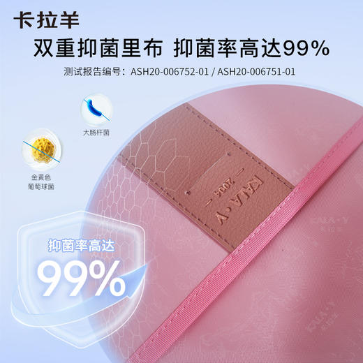 【云朵书包2.0PLUS版】卡拉羊六维防下坠小学生1-4年级18L云朵书包  凌云 CX2213 商品图8