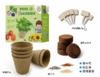 六一破价 自然教育养花 养草 养蚂蚁  盛放吧花房+蚂蚁观察基地+迷你花园种子 商品缩略图6