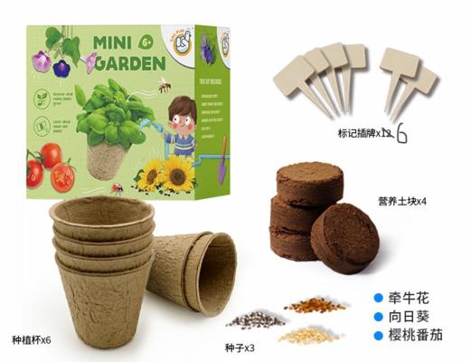 六一破价 自然教育养花 养草 养蚂蚁  盛放吧花房+蚂蚁观察基地+迷你花园种子 商品图6