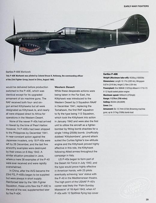 【中商原版】第二次世界大战中的美国战斗机 American Fighter Aircraft of World War II 英文原版 Edward Ward 商品图5