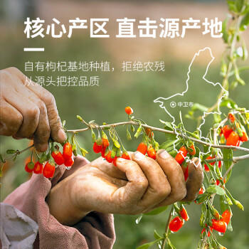 早康宁夏枸杞子500g特优大颗粒枸杞泡茶宁夏枸杞不熏硫不染色防伪认证 商品图1