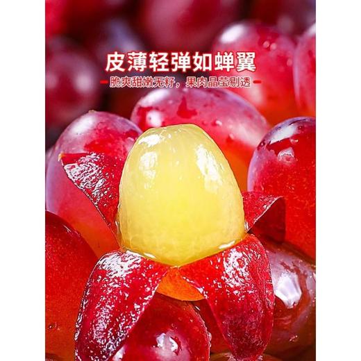 【云南茉莉美人指葡萄】茉莉香葡萄 清脆多汁！口口茉莉香！色泽透亮 营养丰富！新鲜水果当季小提子玫瑰香无籽脆甜红提整箱包邮-LC24GG05 商品图2