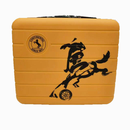 手提旅行箱2022新款化妆品整理收纳箱14寸化妆箱可爱简约 商品图0