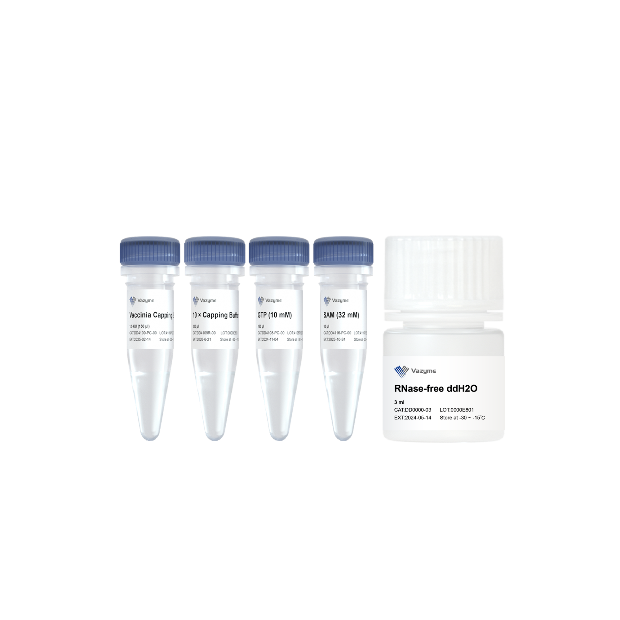 Vaccinia Capping Enzyme (10 U/μl)