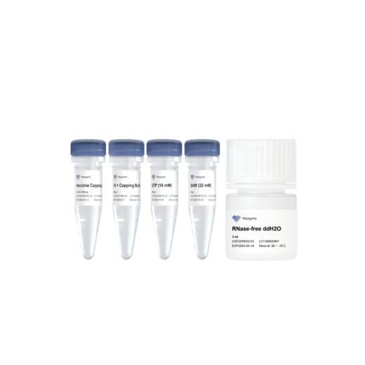 Vaccinia Capping Enzyme (10 U/μl) 商品图0