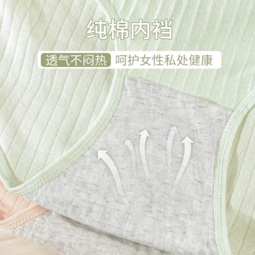 【39.9到手6条】云感泡芙内裤6条丨抗jun纯棉内裤 32支精梳棉 舒适透气 不变形不紧勒 商品图3