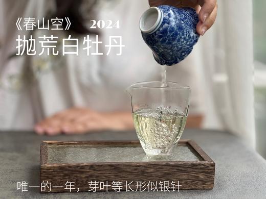 【2024春茶来了】2024抛荒白牡丹《春山空》，干茶长相酷似白毫银针，有史以来等级zui高的抛荒白牡丹 商品图11