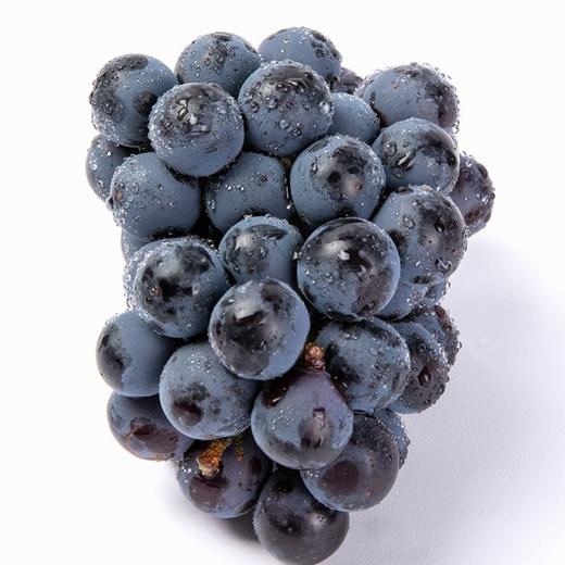 【现摘夏黑无籽黑葡萄】现摘现发颗颗甜美多汁！新鲜圆润！果色紫黑诱人！皮薄肉厚！-PT01 商品图1