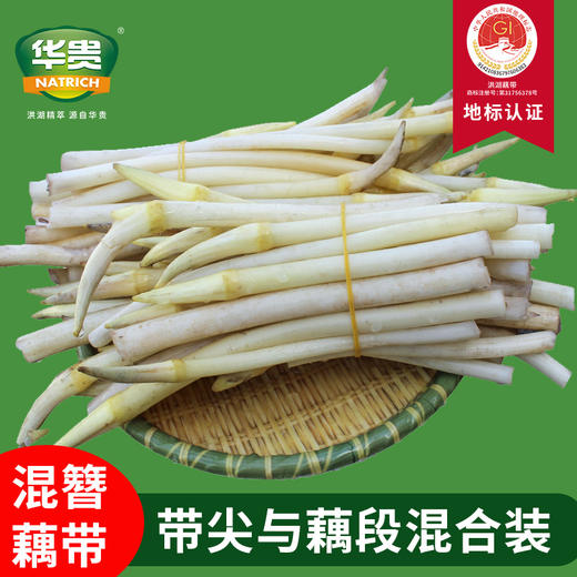 【严选】洪湖新鲜藕带现摘现发1斤装/2斤装/3斤装 （厂家直发） 商品图1
