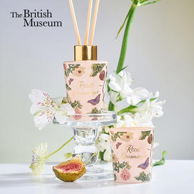 大英博物馆 博物志系列 苏里南 【蒹葭梦泽 【无花果叶】 香薰蜡烛 香氛套装礼盒