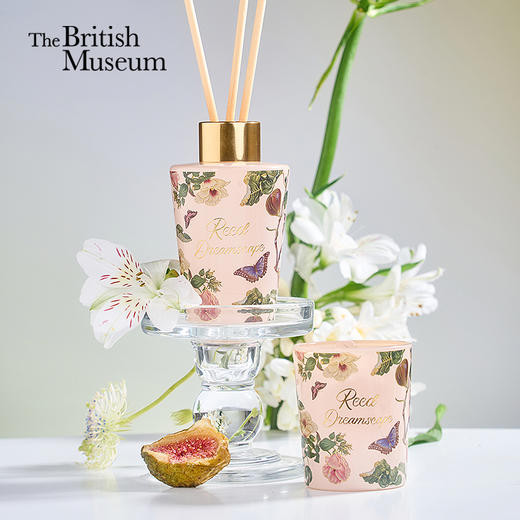 大英博物馆 博物志系列 苏里南 【蒹葭梦泽 【无花果叶】 香薰蜡烛 香氛套装礼盒 商品图0