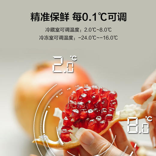 松下（Panasonic）570L 大容量 家用冰箱 一键智能速冻锁鲜变频低噪风冷无霜 银离子除菌 双开门对开门 冰箱 NR-JW59MSB-S（银色）/NR-EW59MPB-N（金色） 商品图6