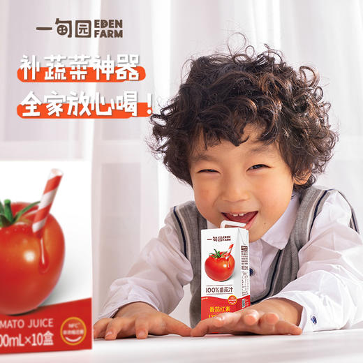 【代发 】一甸园纯蔬菜汁番茄汁直榨营养补充饮料200ml*10盒 商品图3
