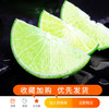 【维C来啦！无籽香水柠檬！】柠檬味超足！酸香四溢！维生素C含量超高！比黄柠檬高10倍还多！味香！多汁！-NM01 商品缩略图1
