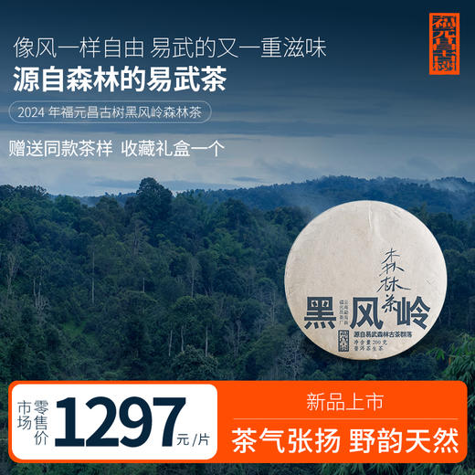 【福元昌古树】2024年森林茶·黑风岭古树纯料200克生饼 商品图0