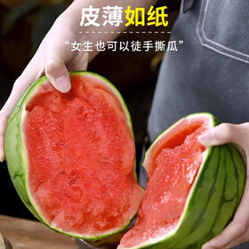 【手撕网红糖丸西瓜！】网红冰淇凌手撕甜小糖丸 薄皮多汁！ 香甜可口！口口爆汁！-LC24GG1