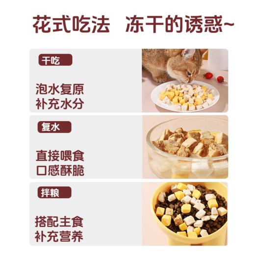 原始兽冻干零食便携装 多口味 门店爆款 0添加 犬猫零食 整箱=200袋 商品图3