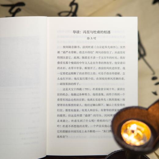 杜甫传 冯至 著 骆玉明导读大字版 附6-9年级杜甫古诗赏析 历史 人物 传记 商品图3