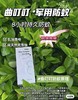 【Little siinboo小城堡孕婴】B8F 曲叮叮儿童保护霜 2支/3支 商品缩略图1