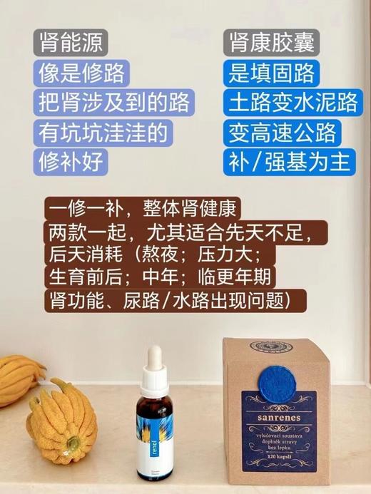 2盒489❗️减轻肾负担/补肾亏/ 强化肾功能/提高肾动力/守住肾和肾通路的健康！捷克Hildegard Medizin圣希尔德佳德肾胶囊120粒 日期26年8月 商品图2