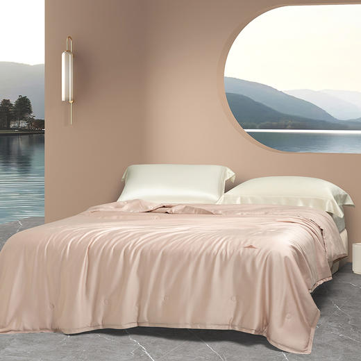 【多样屋专柜】多样屋100%天丝麻蚕丝被夏凉被空调被子双人夏季春秋可机洗夏被芯 商品图0